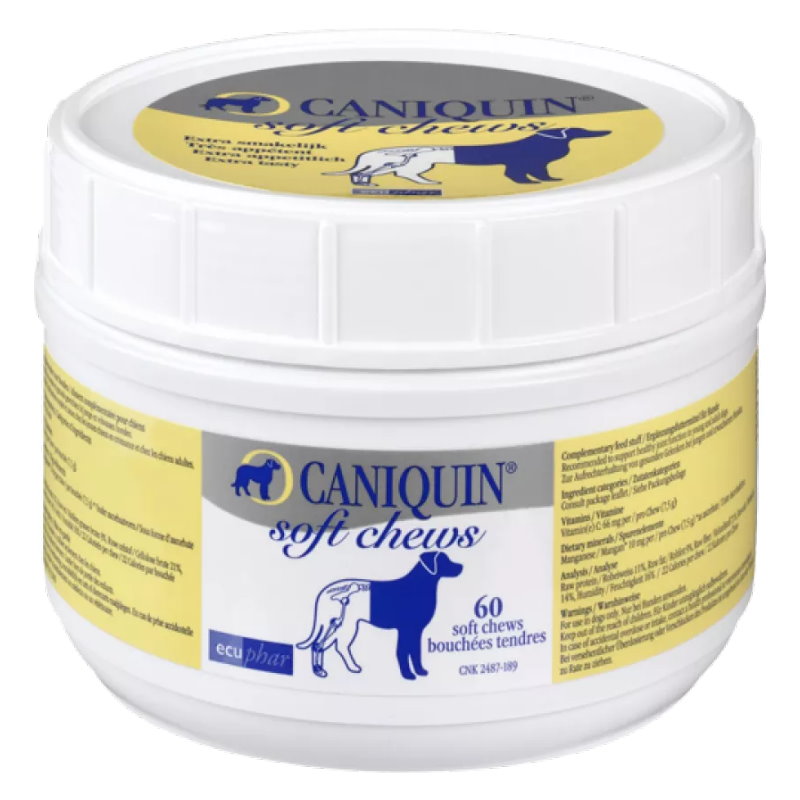 Cardon 科盾