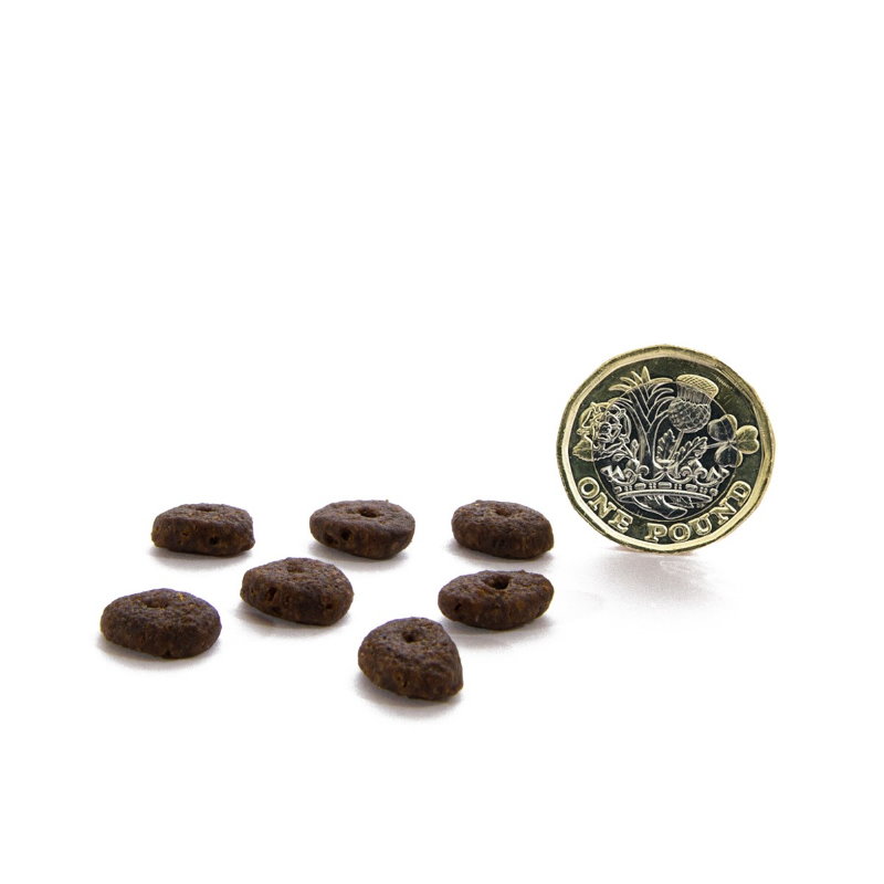 無穀物蘇格蘭三文魚配方（小型犬）