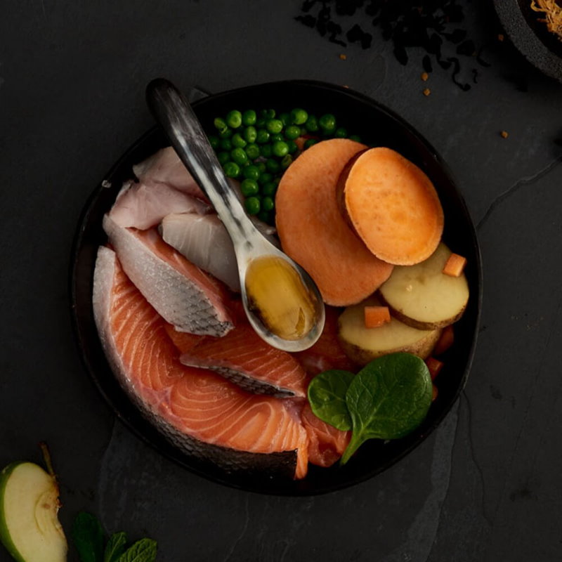 無穀物蘇格蘭三文魚配方（小型犬）