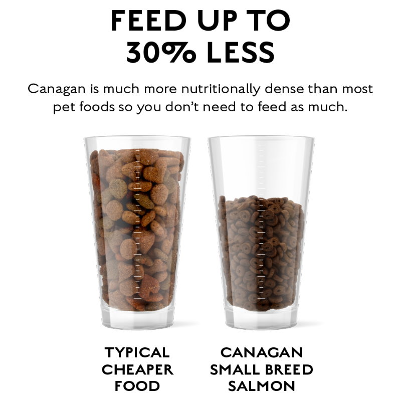 無穀物蘇格蘭三文魚配方（小型犬）