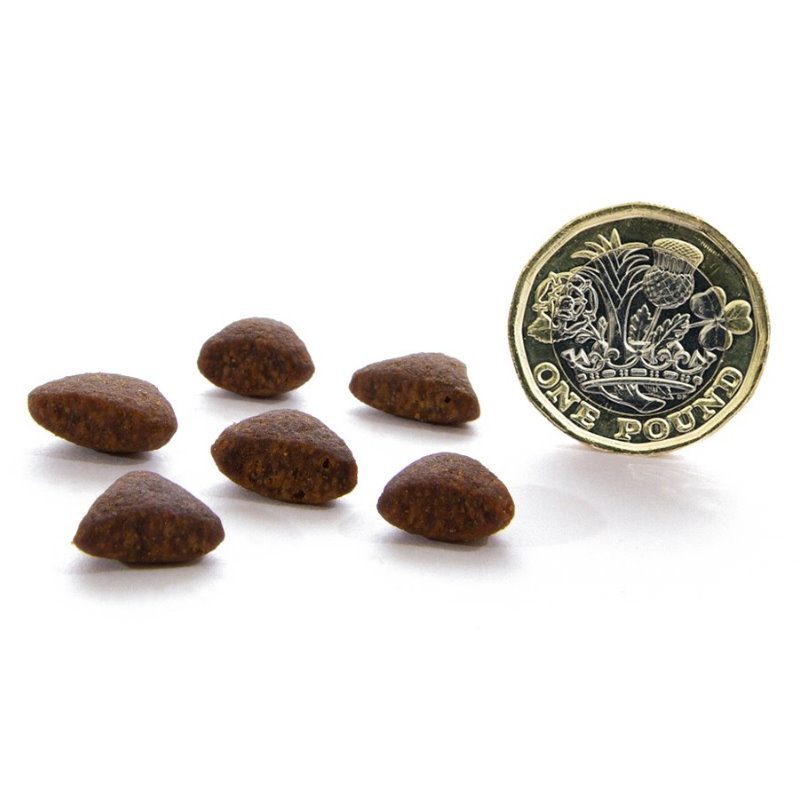 無穀物田園野味貓配方