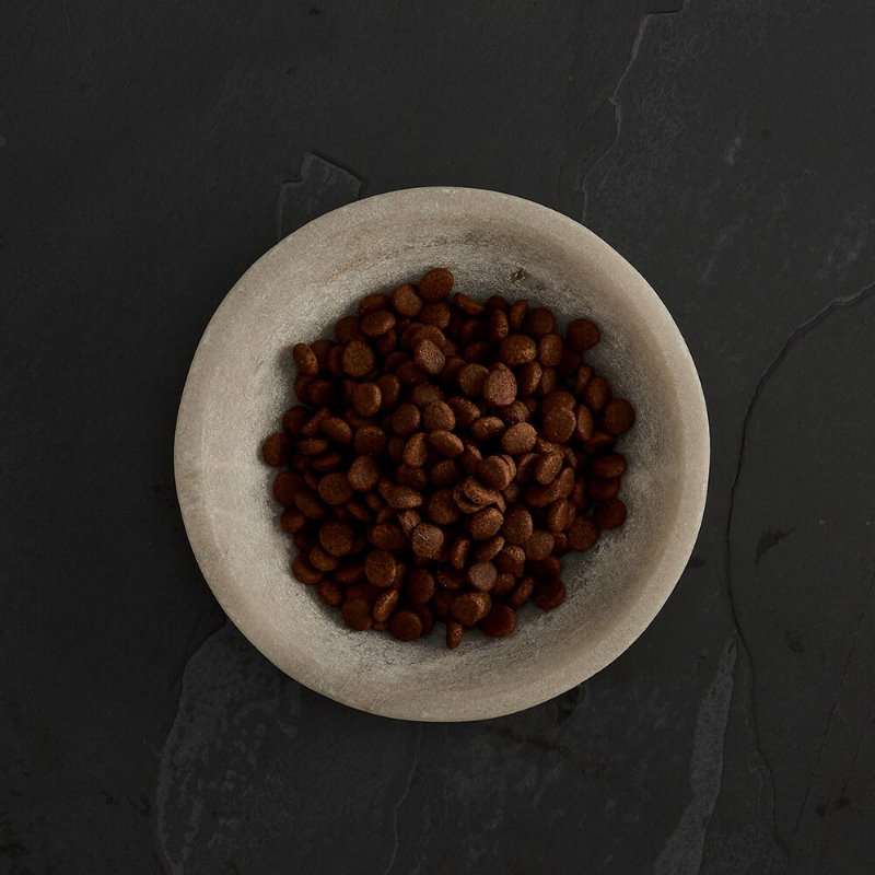 無穀物走地雞貓配方