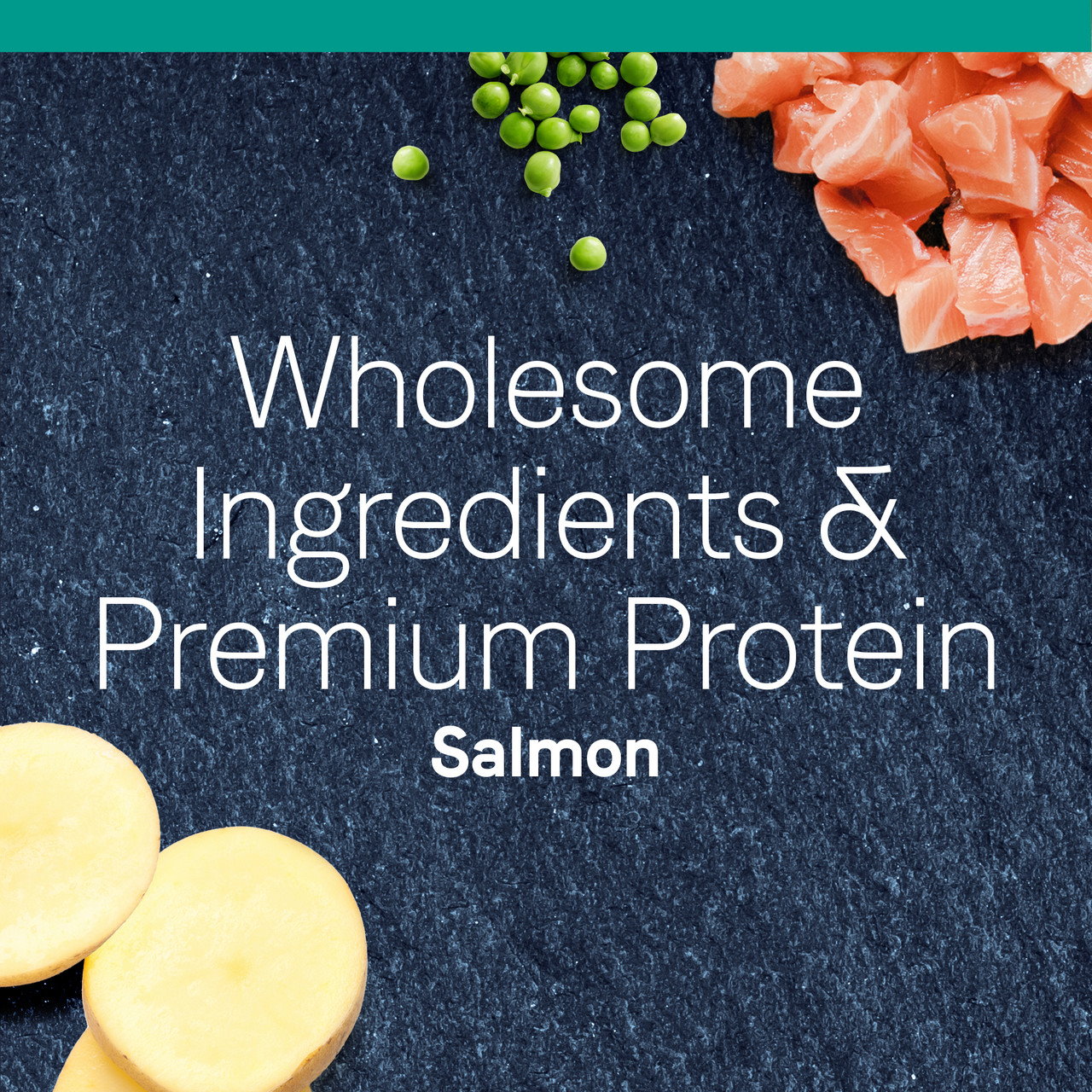 Pure - 三文魚全貓配方