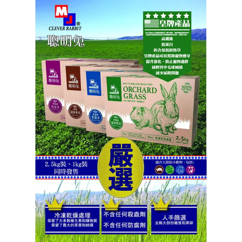 高山甜園苜蓿草