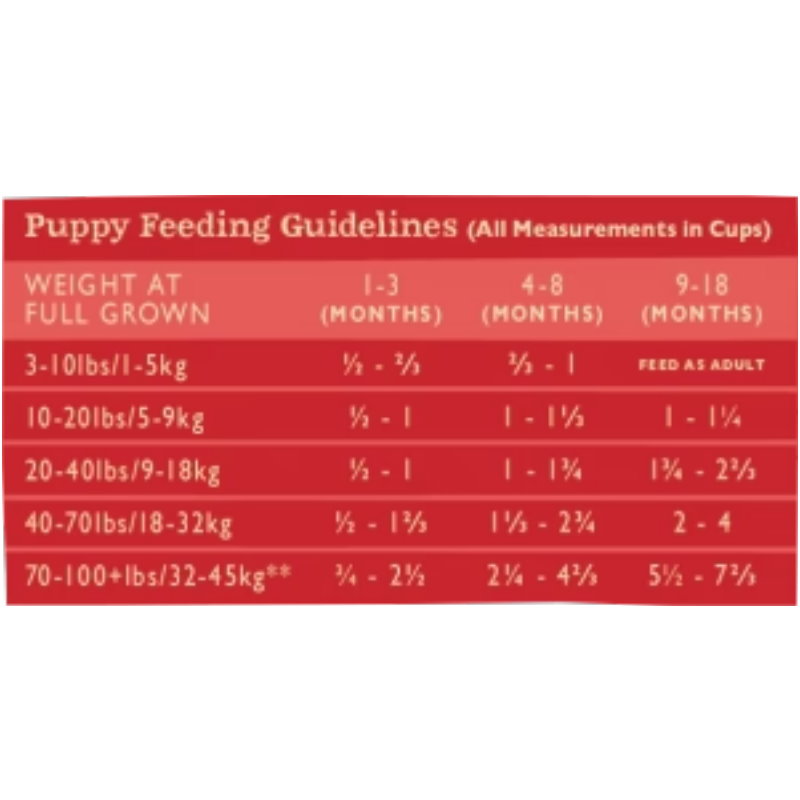 三文魚白鮭魚全犬