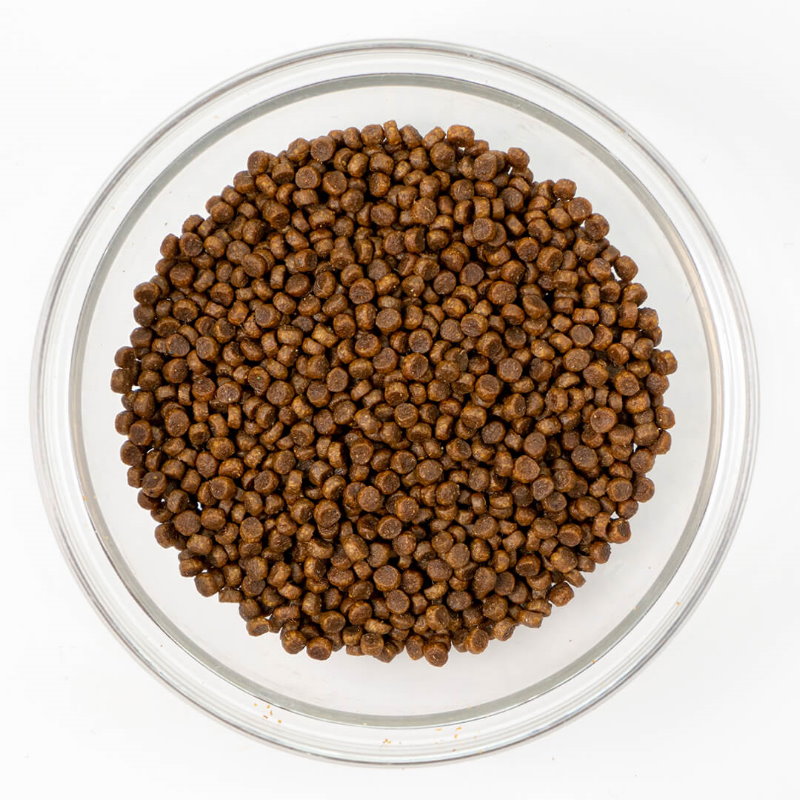 無穀物走地雞肉全貓種配方